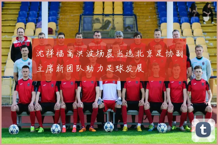 沈祥福高洪波杨晨当选北京足协副主席新团队助力足球发展