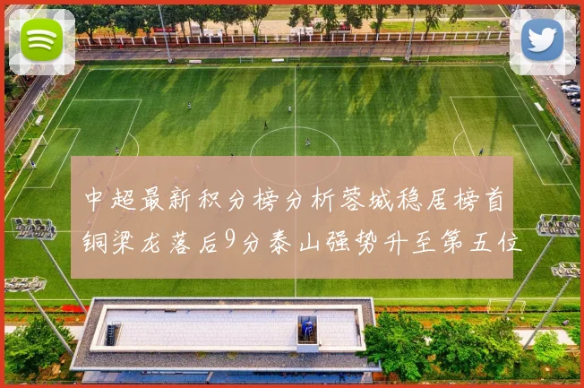 中超最新积分榜分析蓉城稳居榜首铜梁龙落后9分泰山强势升至第五位津门虎积分清零