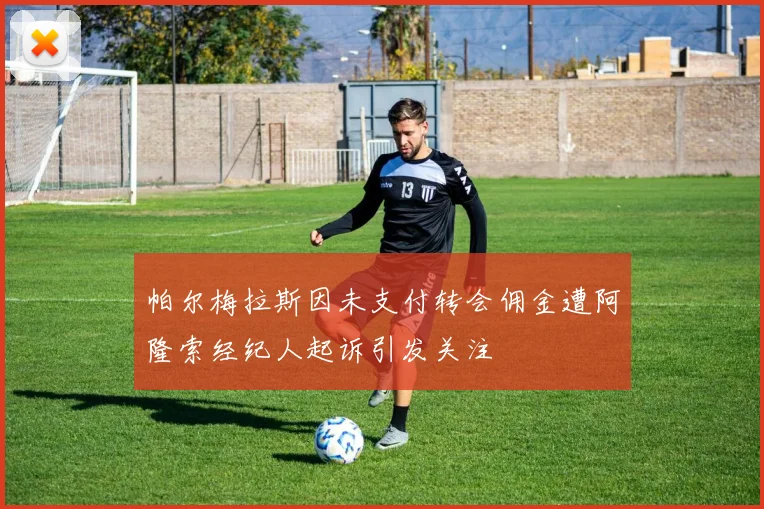 帕尔梅拉斯因未支付转会佣金遭阿隆索经纪人起诉引发关注